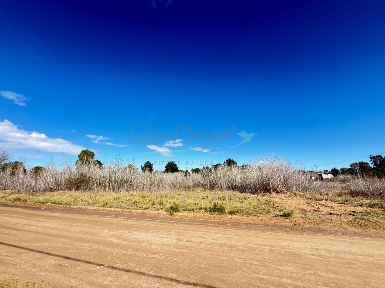 LOTE O MANZANA EN VENTA - OSTENDE - PINAMAR