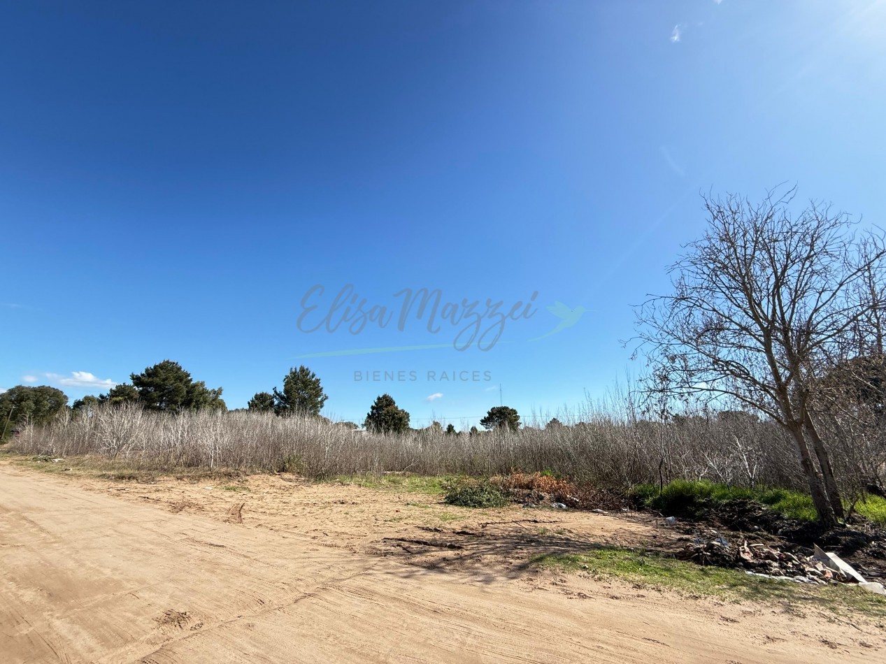 LOTE O MANZANA EN VENTA - OSTENDE - PINAMAR