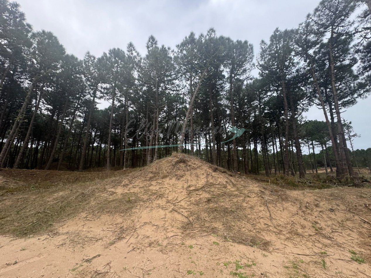 LOTE EN VENTA - BOSQUES PINAMAR