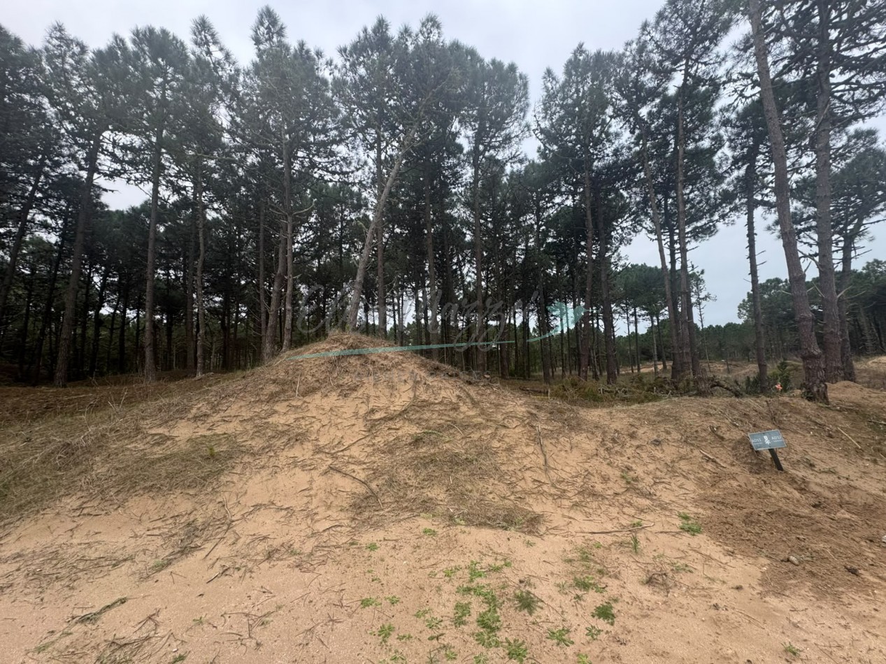 LOTE EN VENTA - BOSQUES PINAMAR