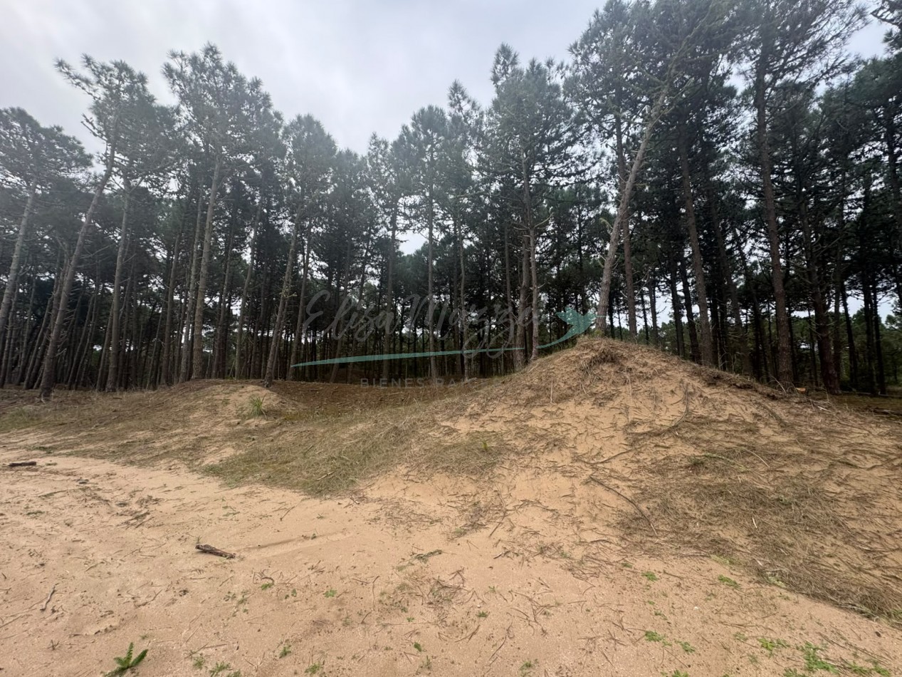 LOTE EN VENTA - BOSQUES PINAMAR
