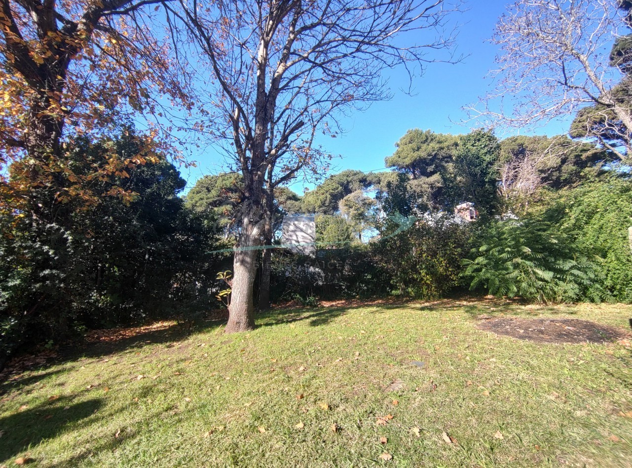 Casa en alquiler anual 