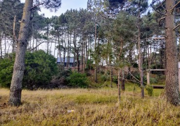 LOTE EN VENTA - ZONA ALAMOS - PINAMAR