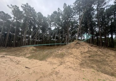 LOTE EN VENTA - BOSQUES PINAMAR